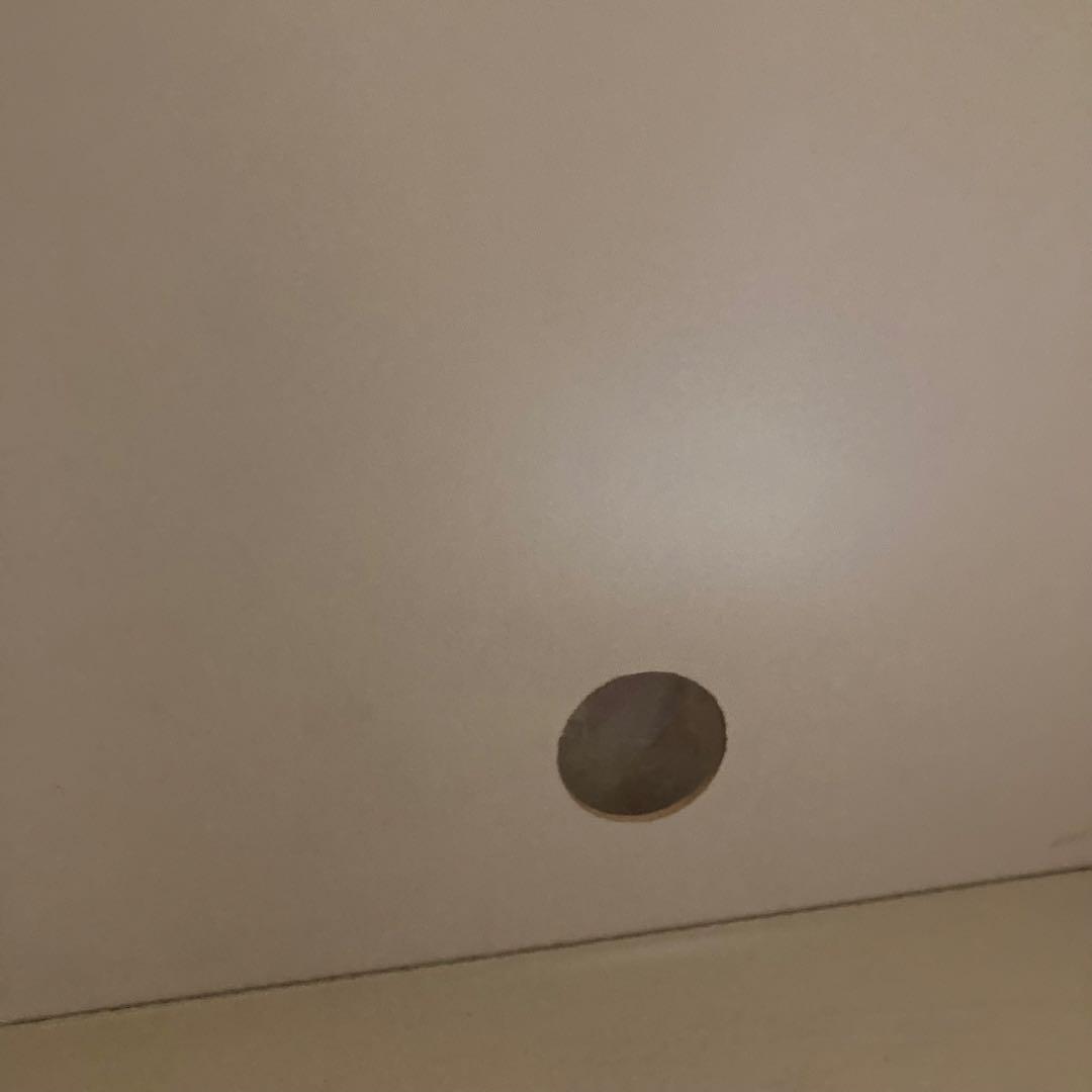 971f422182a93a096aa3ee1531e26170_1749290162_039.jpg