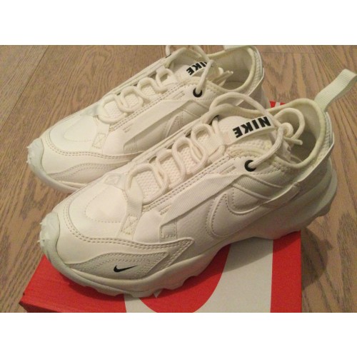 Nike TC7900 ホワイト　22.5cm