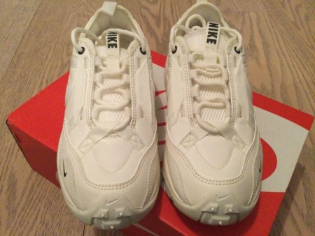Nike TC7900 ホワイト　22.5cm