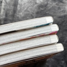金色のガッシュ！！2 1〜4巻セット　漫画　コミック　ガッシュベル
