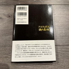 アメノヒボコ、謎の真相