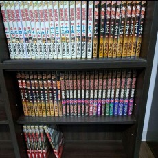 龍狼伝 王霸立国編 中原繚乱編