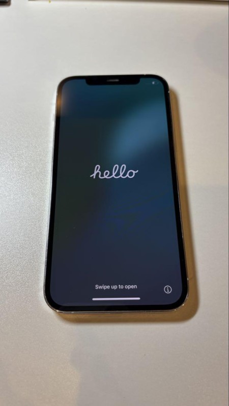 Apple iPhone 12pro 本体