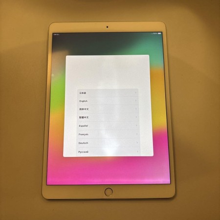 最終お値下げ‼️iPad Pro 10.5インチ 256GB