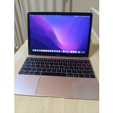 MacBook Air (Retina, 12'', Early 2016)