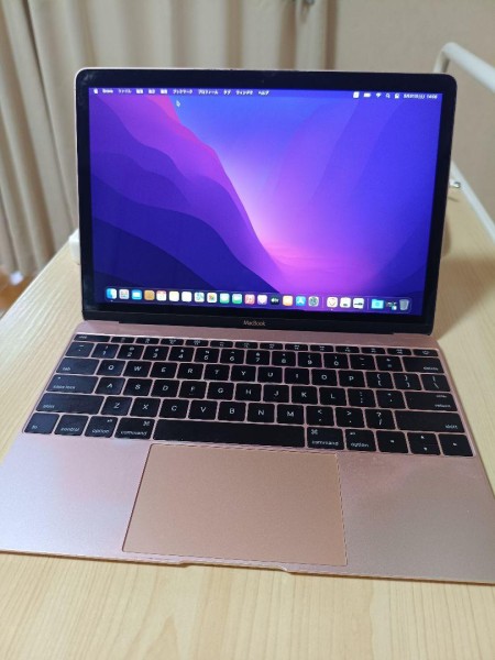 MacBook Air (Retina, 12'', Early 2016)