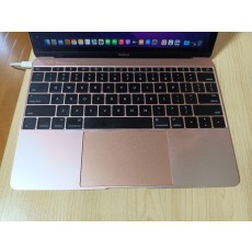 MacBook Air (Retina, 12'', Early 2016)
