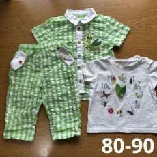 昆虫　ギンガムチェック　半袖シャツ　ズボン　セット売り　グリーン　80 90