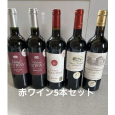 Chateau Pertignas Bordeaux 2019／2020 ワイン