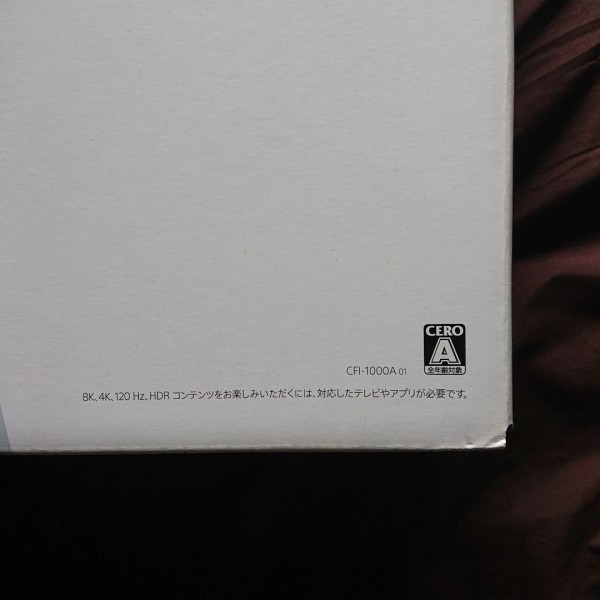SONY PS5 本体 825GB